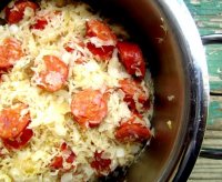 Sauerkraut and kielbasa crock pot recipe