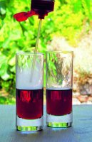 Sloe gin recipe river cottage cotons