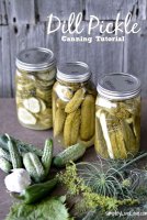 Spicy pickle recipe for canning
