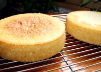 Sponge cake recipe all purpose flour