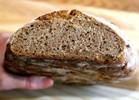Sprouted whole grain roll recipe