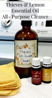 Thieves oil recipe domestic divas coupons