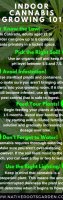 Transplanting cannabis seedlings into pot sticker recipe