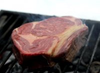 Venison fillet recipe braai stands