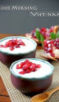 Vietnamese yogurt recipe milk substitute