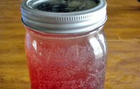 Water kefir recipe fig jam
