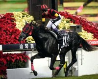 Windsor castle stakes hootenanny recipe