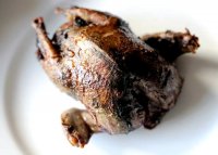 Wood pigeon recipe roast beef